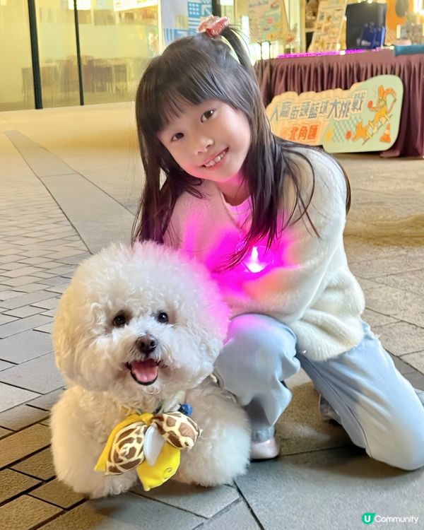 北角匯@親子寵物好玩打卡熱點💖