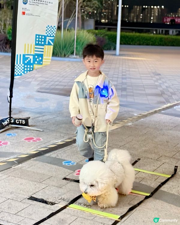 北角匯@親子寵物好玩打卡熱點💖