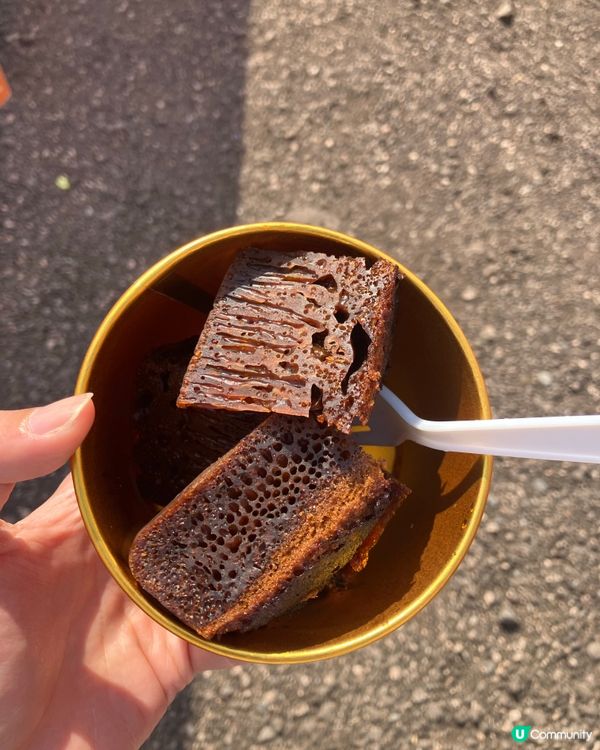 錦田圍村節慶！🥳 體驗歷史文化！