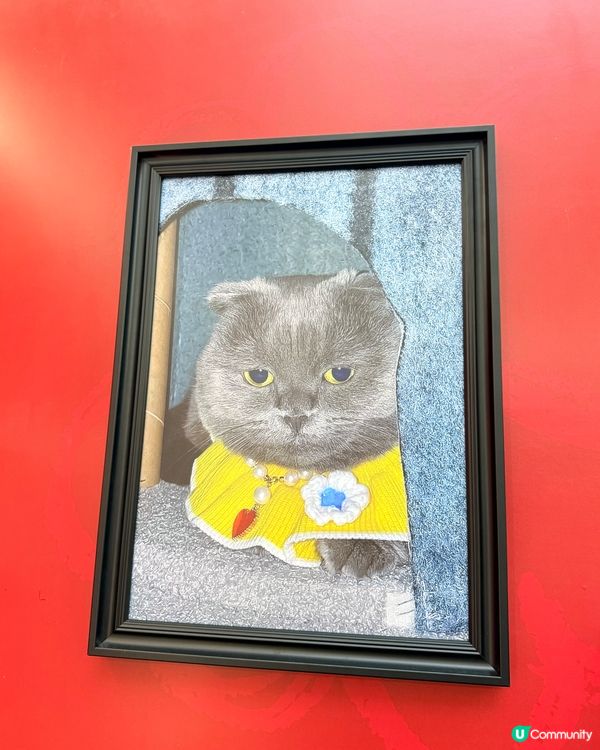 zoa朗豪坊打卡位！VIP必去❤️🖤