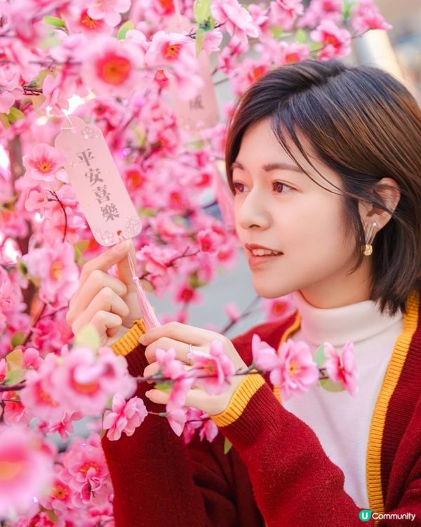 打卡超美櫻粉色系💗｜夢幻巨型旋轉木馬🎠