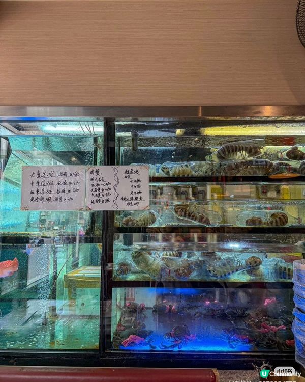 銅鑼灣60年老店🤤🦀🦐必食招牌避風塘炒辣蟹🔥