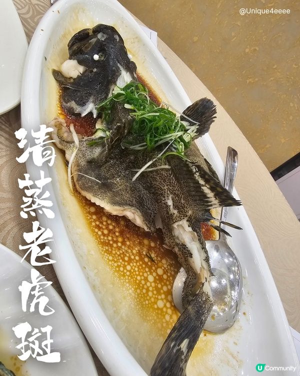 【自淘腰包探店-深圳海鮮私藏🤫】即撈即煮鮮味爆燈✨