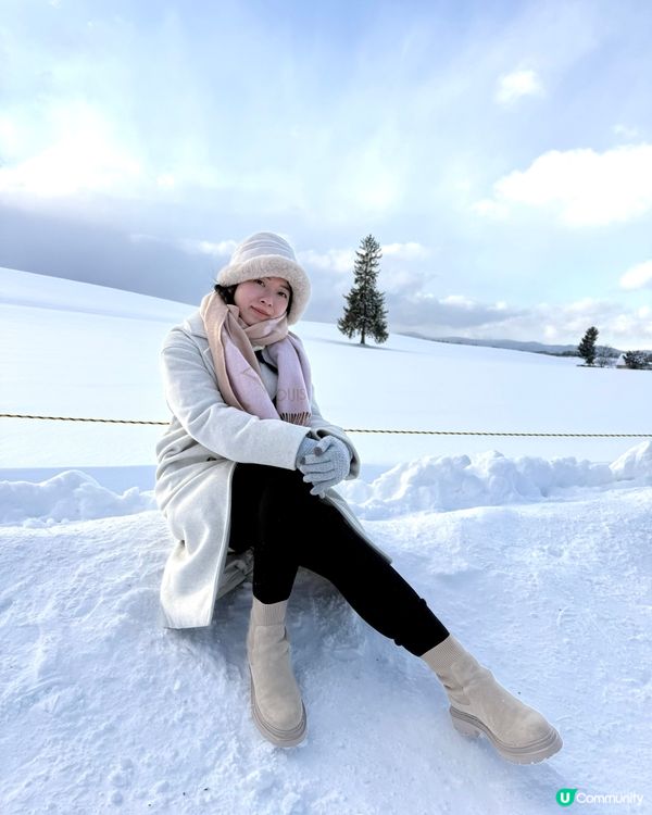 最孤獨的浪漫聖誕樹🌲❄️