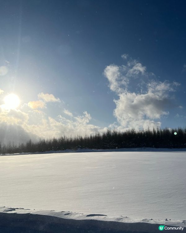 最孤獨的浪漫聖誕樹🌲❄️