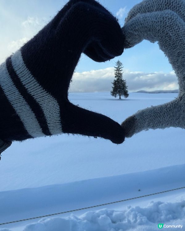 最孤獨的浪漫聖誕樹🌲❄️