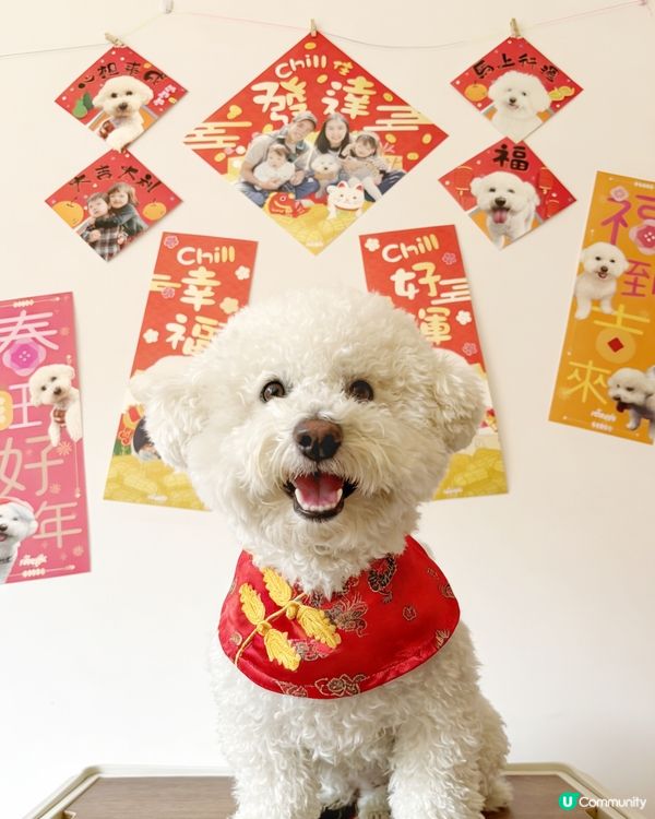 🐴自製新年揮春！儀式感滿滿🧧