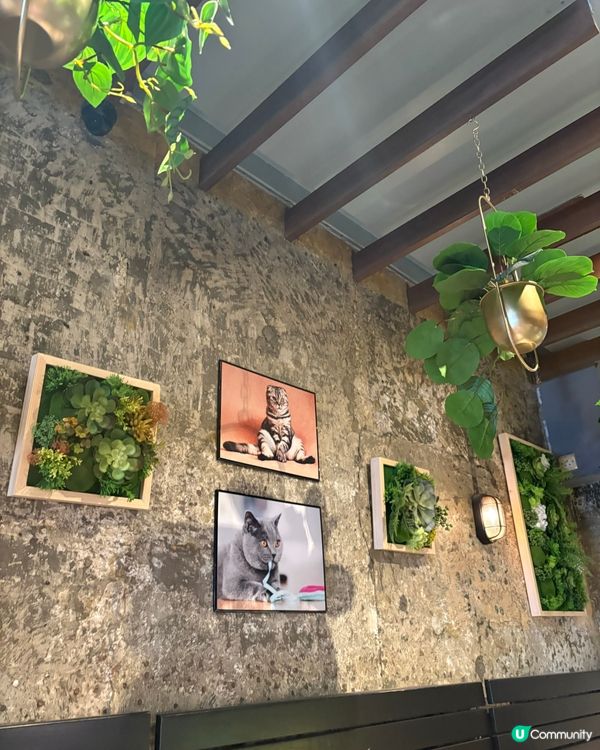 價錢勁親民🤩元朗必食高質手工意大利粉店🍝