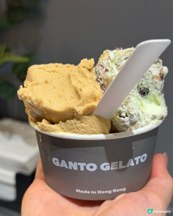 期間限定 凍檸茶Gelato😍