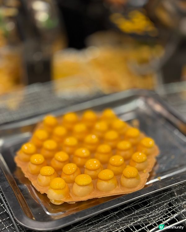 大癲送Blackpink演唱會飛！菠蘿包雞蛋仔抽門票！ 🤩