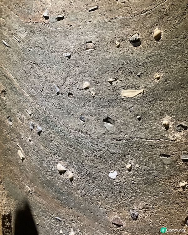 🏺 西安博物院｜一場穿越千年的安靜相遇