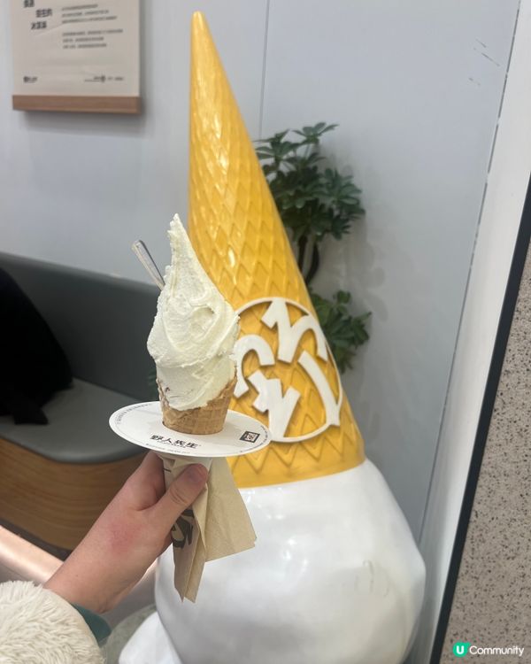 大大支雪糕-野人先生