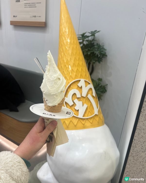 大大支雪糕-野人先生