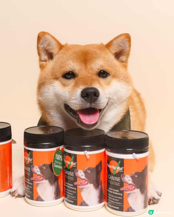 毛孩關節保健品🌹 Rose-Hip Vital
