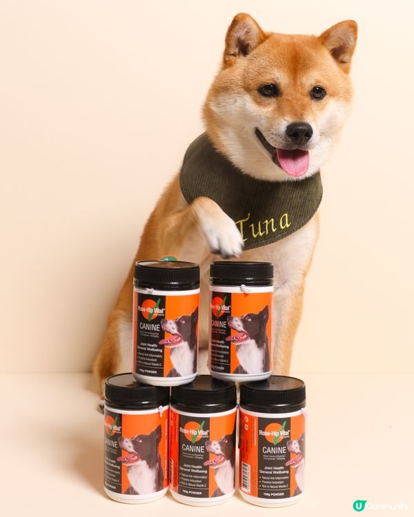 毛孩關節保健品🌹 Rose-Hip Vital