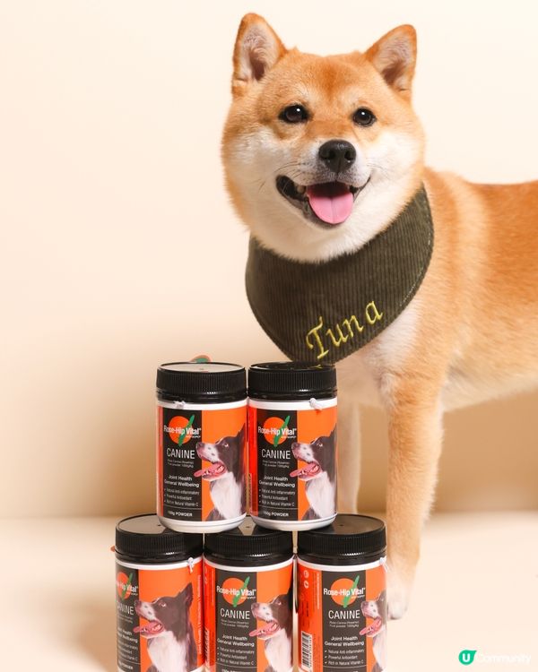 毛孩關節保健品🌹 Rose-Hip Vital