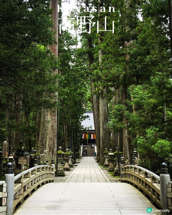 環遊日本🇯🇵｜大阪近郊高野山日歸攻略⛰️