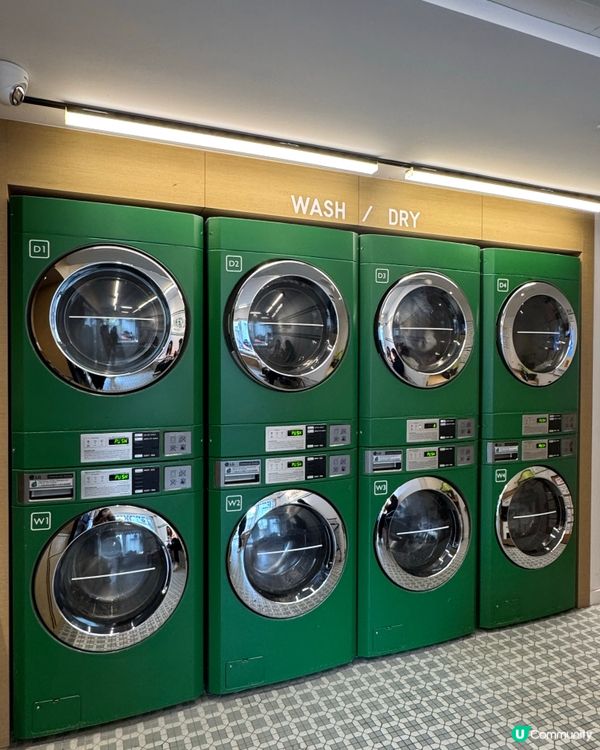 梅窩新打卡點💚復古綠色主調裝潢🤩