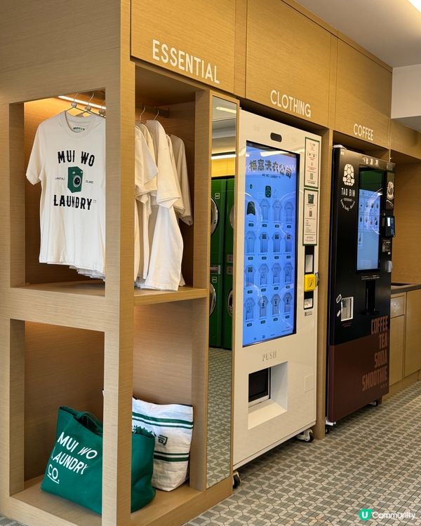 梅窩新打卡點💚復古綠色主調裝潢🤩