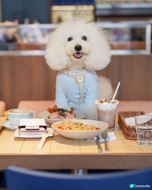 Hooman 強勢回歸！超打卡雲朵泡泡咖啡 