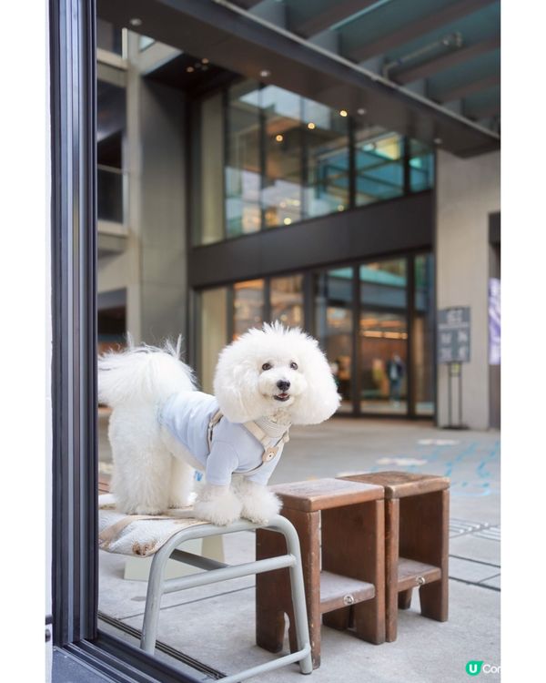 Hooman 強勢回歸！超打卡雲朵泡泡咖啡 