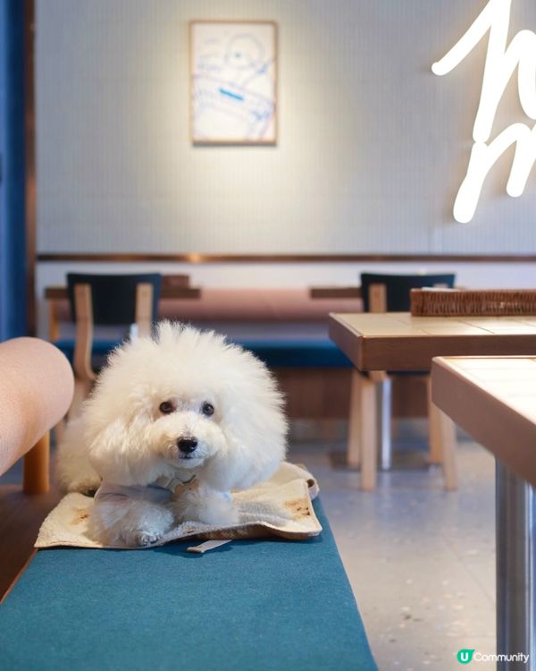 Hooman 強勢回歸！超打卡雲朵泡泡咖啡 