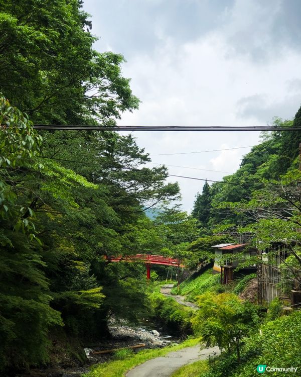 環遊日本🇯🇵｜大阪近郊高野山日歸攻略⛰️