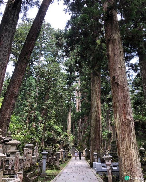 環遊日本🇯🇵｜大阪近郊高野山日歸攻略⛰️