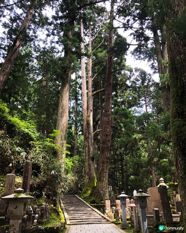 環遊日本🇯🇵｜大阪近郊高野山日歸攻略⛰️