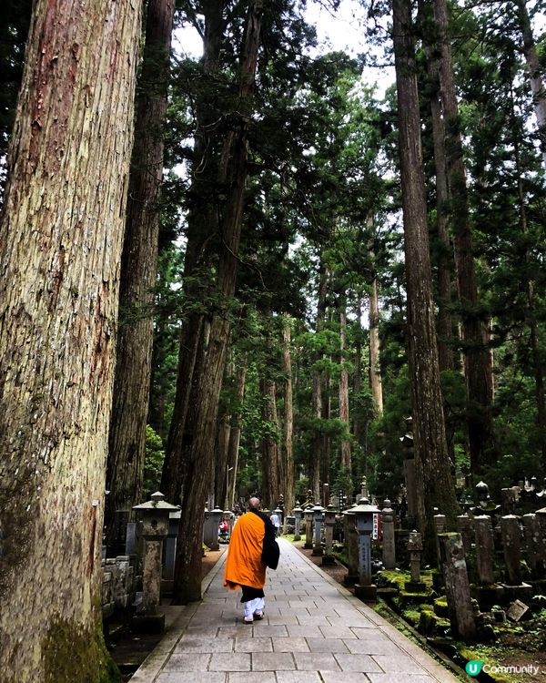 環遊日本🇯🇵｜大阪近郊高野山日歸攻略⛰️