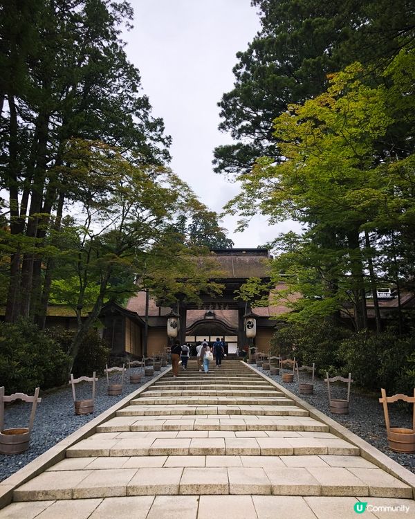 環遊日本🇯🇵｜大阪近郊高野山日歸攻略⛰️