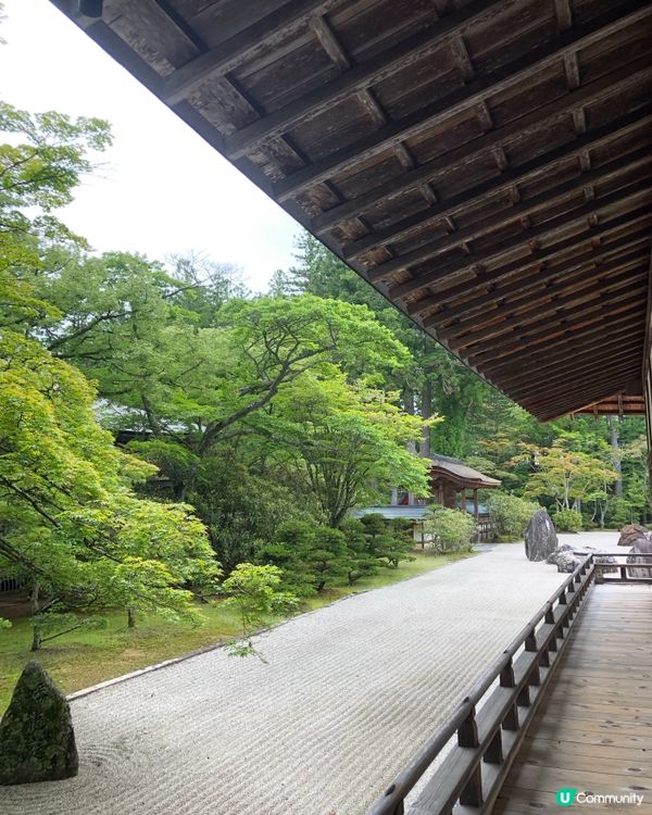 環遊日本🇯🇵｜大阪近郊高野山日歸攻略⛰️