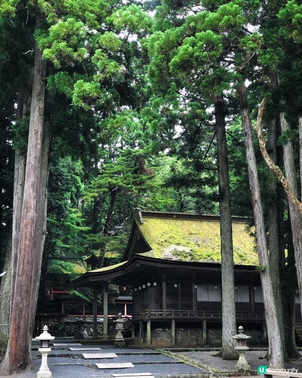 環遊日本🇯🇵｜大阪近郊高野山日歸攻略⛰️