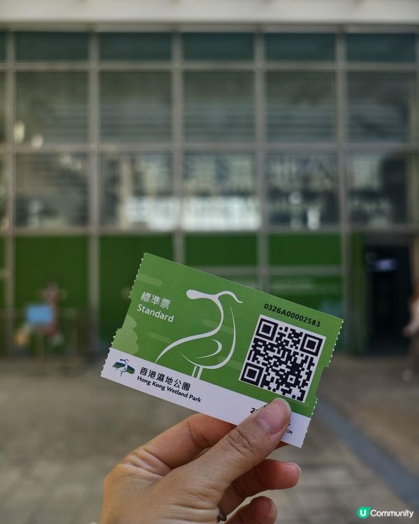 打卡熱點！ 濕地公園落羽松攻略