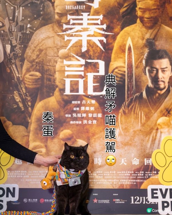 今日禾帶字爸爸媽媽朋友一齊入戲院欣賞《尋秦記》