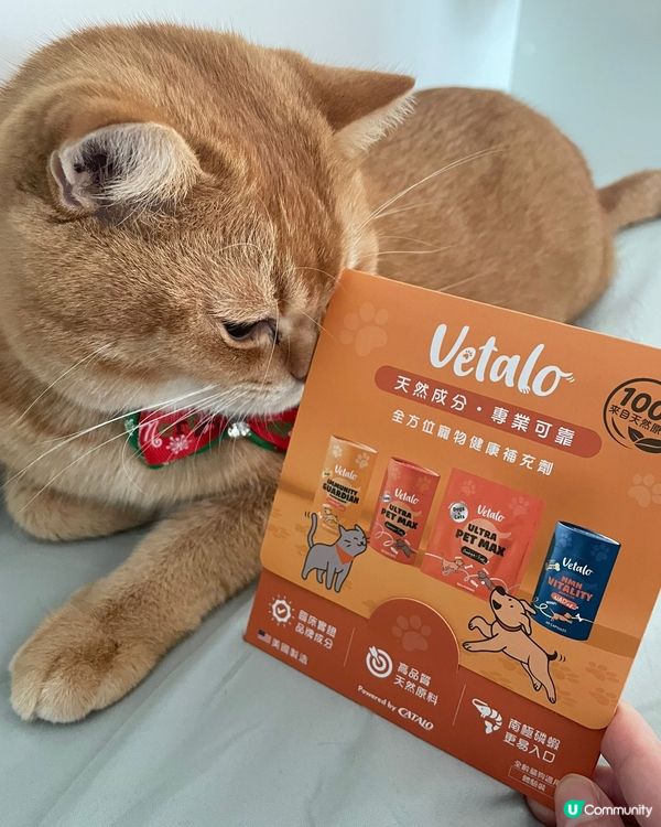 Vetalo貓咪試用