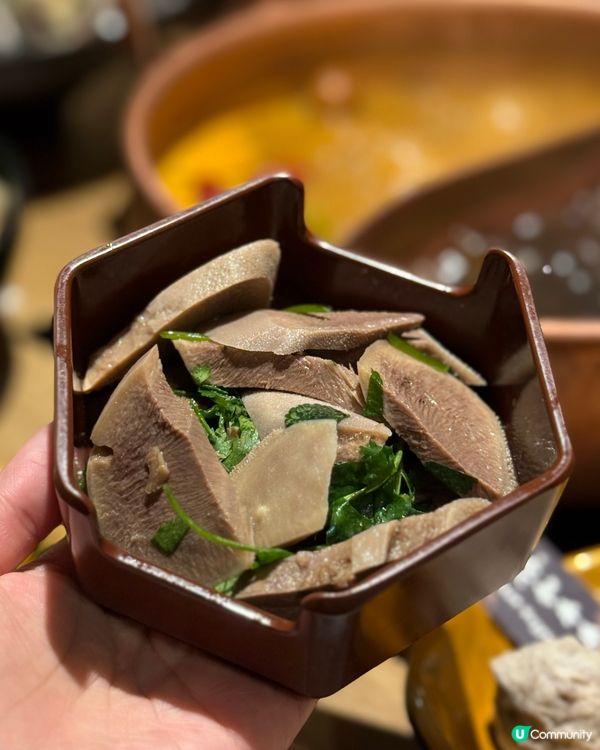 天氣凍❄️打邊爐暖笠笠！養生鍋正！😋