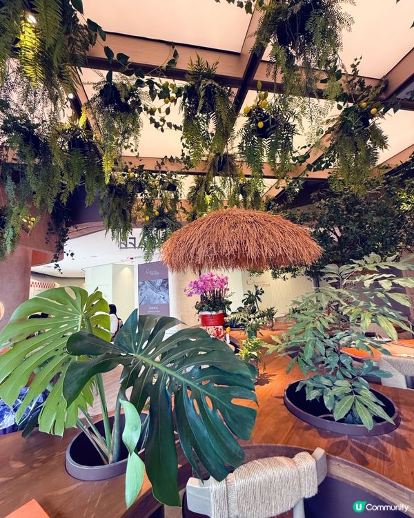 花廚初體驗！森系餐廳☕️🌿