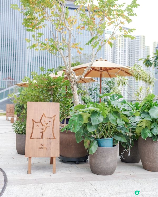 新開寵物友善cafe｜啟德