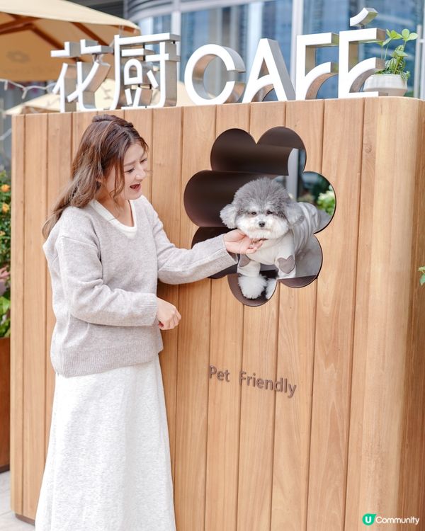 新開寵物友善cafe｜啟德