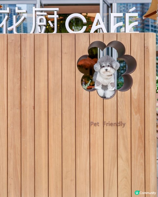 新開寵物友善cafe｜啟德