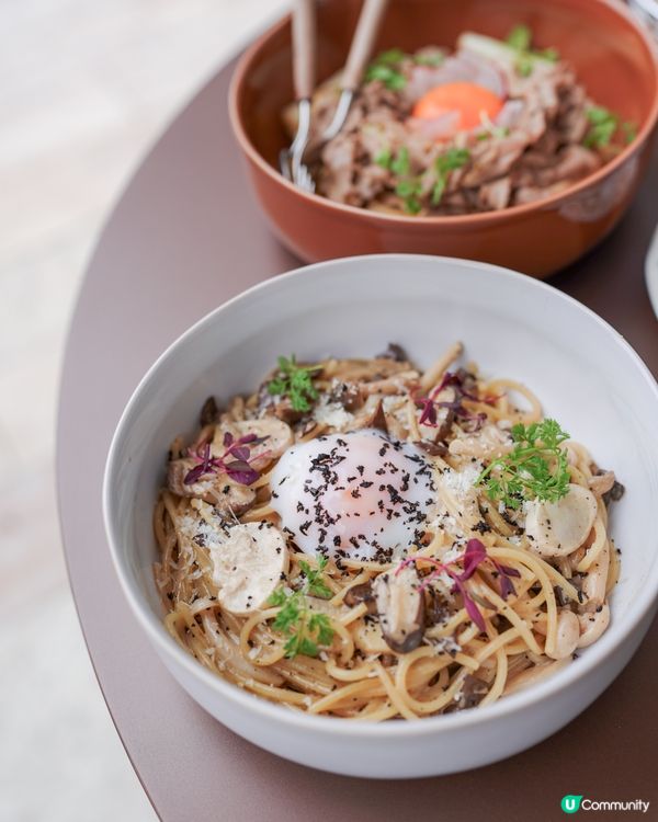 新開寵物友善cafe｜啟德