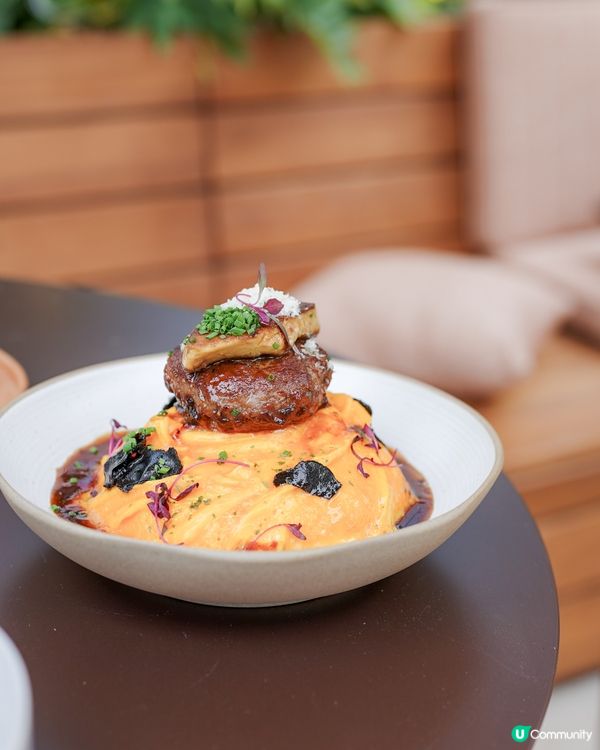 新開寵物友善cafe｜啟德