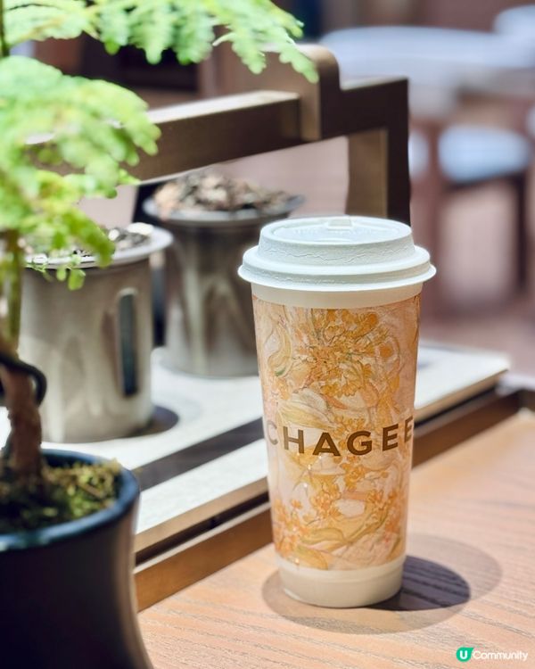 百億茶飲王國之謎🫖！