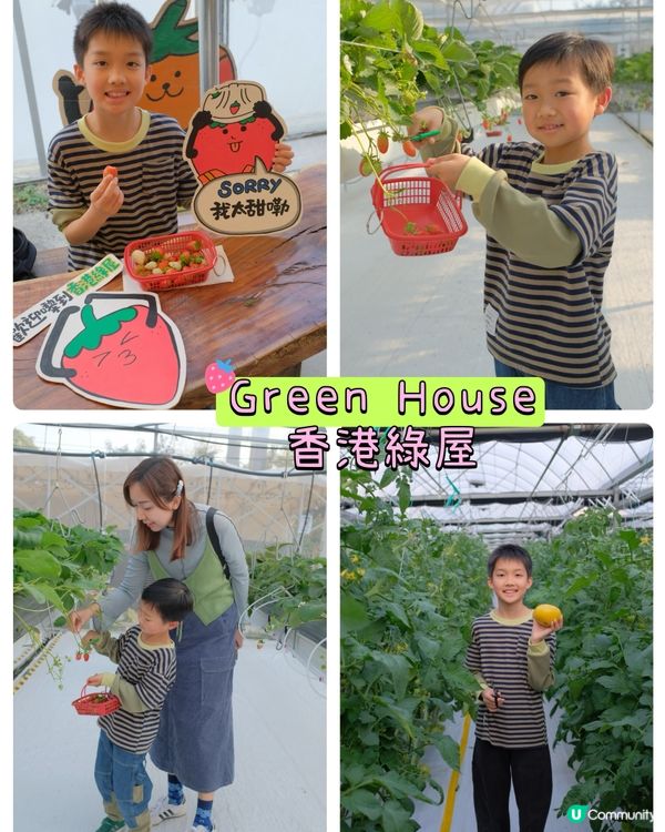 【 體驗即摘即食超新鮮士多啤梨 】