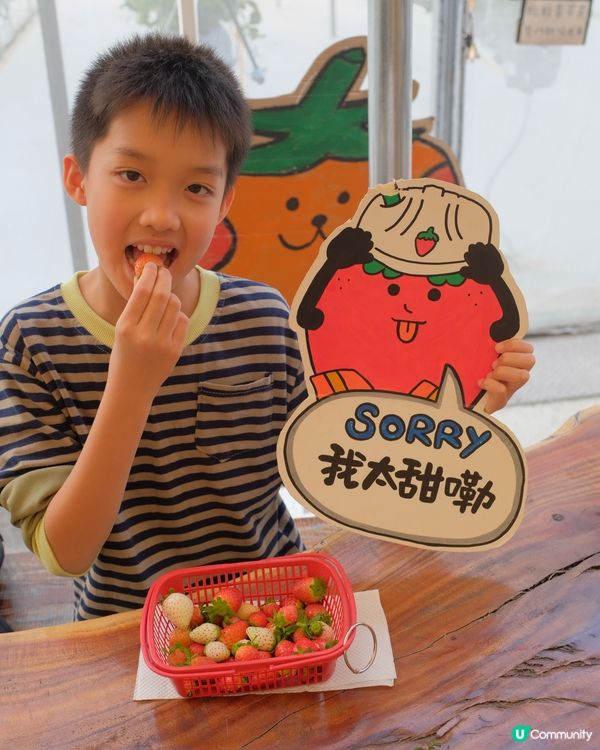 【 體驗即摘即食超新鮮士多啤梨 】