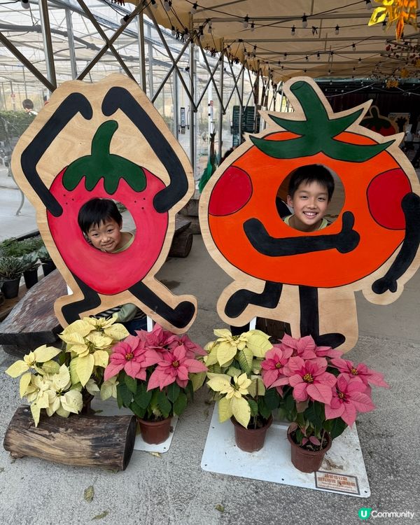 【 體驗即摘即食超新鮮士多啤梨 】