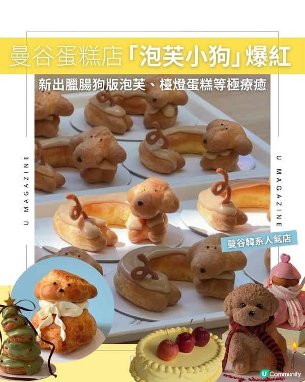 曼谷蛋糕店「泡芙小狗」爆紅｜新出臘腸狗版泡芙、檯燈蛋糕等極療癒