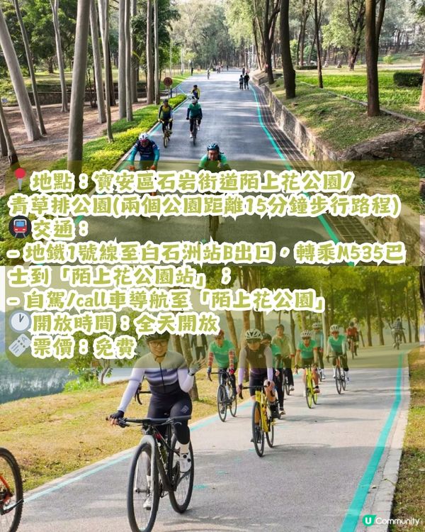 深圳2大油菜花海來襲! 公園湖境賞花/農場親子一日遊🌸附交通攻略