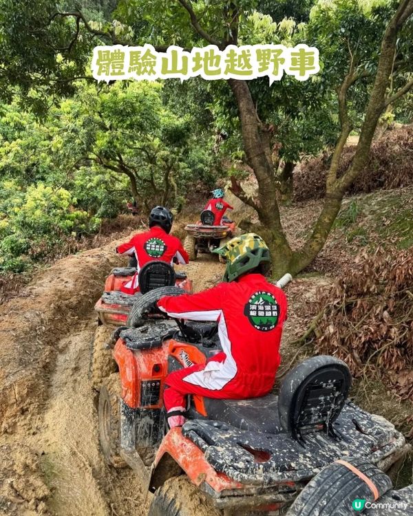 深圳2大油菜花海來襲! 公園湖境賞花/農場親子一日遊🌸附交通攻略